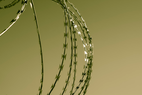 Pena de cárcel por injurias