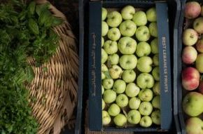 Licencia comercial frutas.