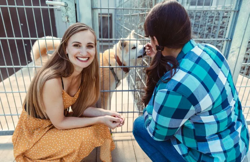 Contrato de compraventa de animales